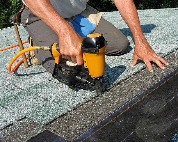 Best Roof Gutter Cleaning  in Dortches, NC