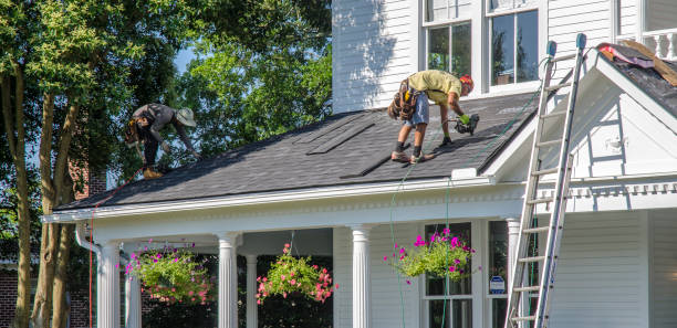 Best Roof Gutter Cleaning  in Dortches, NC
